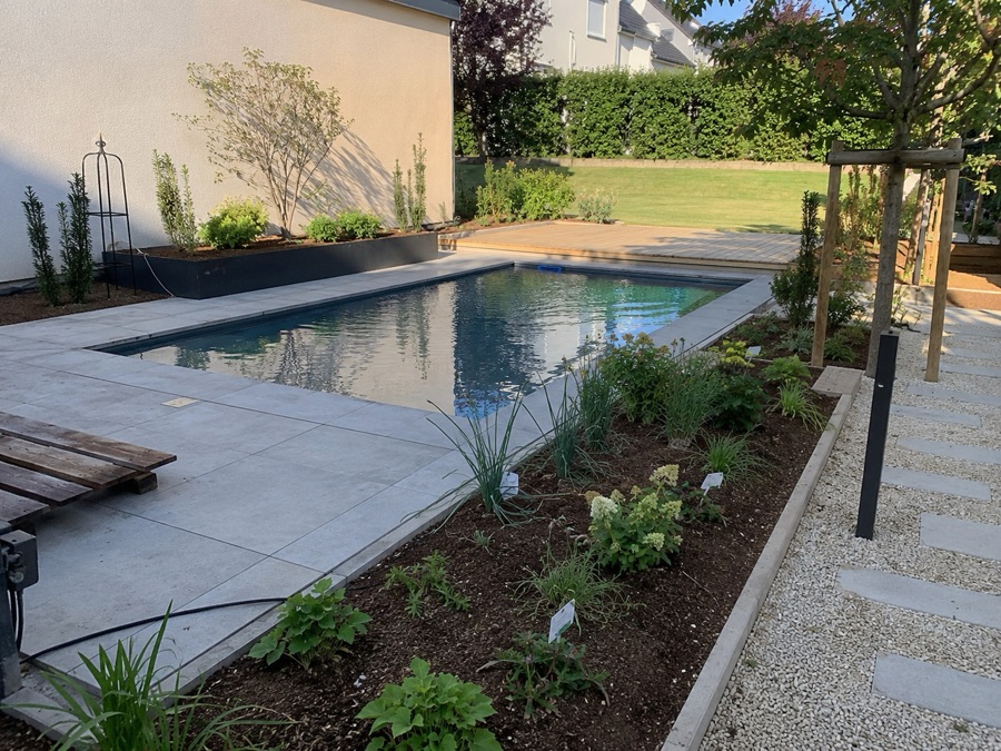 Wasserbereich mit Poolnähe und Pflanzenrahmung